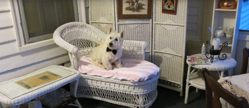 Isaac Hilliard House Bed And Breakfast Pemberton Esterno foto